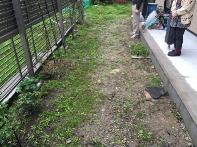 Before