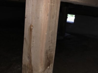 富山県高岡市の白蟻予防工事の施工事例/施工後/床下/基礎木材/予防薬剤散布